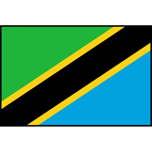Flag Printed Patch - Tanzania