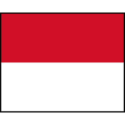 Flag Printed Patch - Monaco