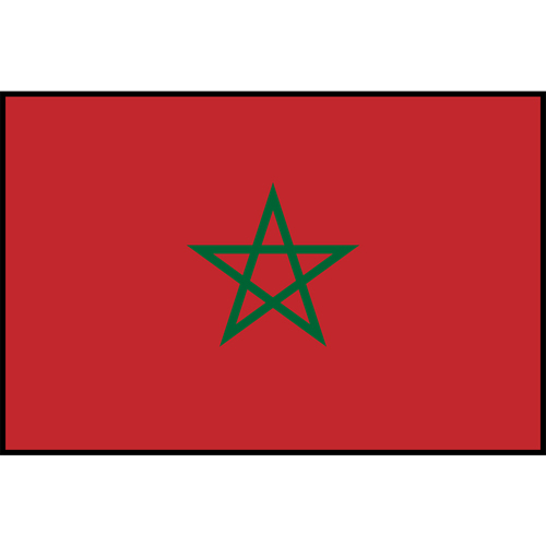 Flag Printed Patch - Morocco