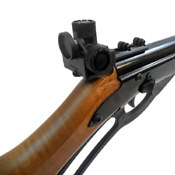 Daisy 499 Champion Competition BB Rifle