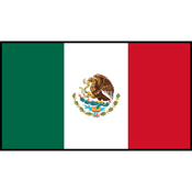 Flag Printed Patch - Mexico